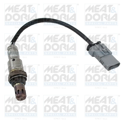 Oxygen Sensor